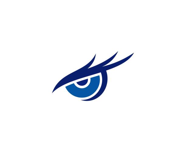EAGLE EYE ENTERPRISES